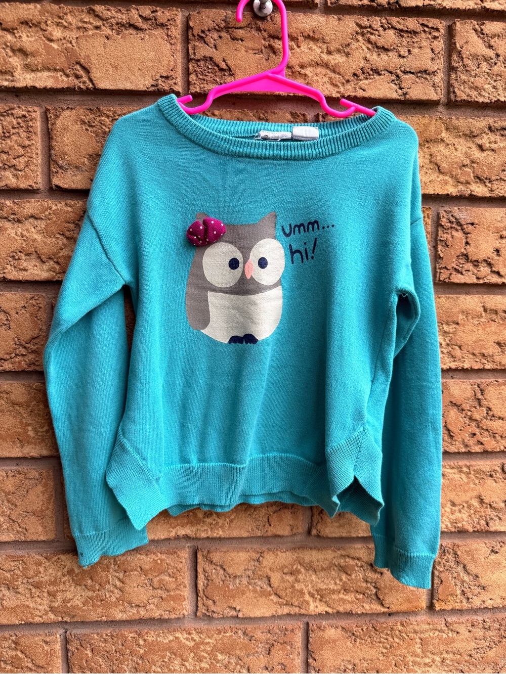 4/$25 • Roxy "Umm... Hi!" Owl Graphic Pullover Sweater
